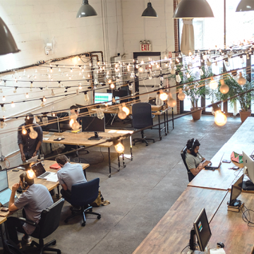 Você sabe o que é uma startup camelo?