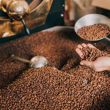 <strong>Dia do Café: conheça as classificações da bebida que é paixão mundial</strong>